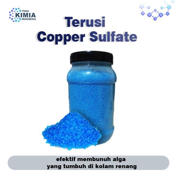 Terusi Obat Kolam Renang - 25 KG